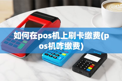 如何在pos机上刷卡缴费(pos机咋缴费)