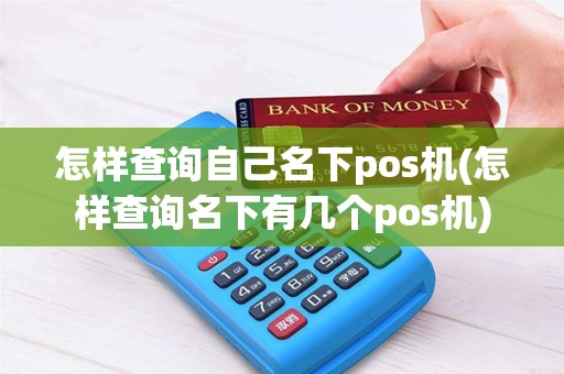 怎样查询自己名下pos机(怎样查询名下有几个pos机)