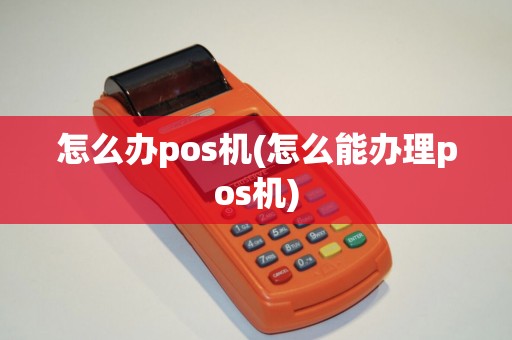 怎么办pos机(怎么能办理pos机)