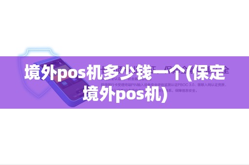 境外pos机多少钱一个(保定境外pos机)