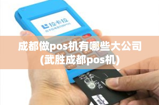 成都做pos机有哪些大公司(武胜成都pos机)