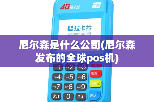 尼尔森是什么公司(尼尔森发布的全球pos机)