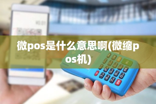 微pos是什么意思啊(微缩pos机)