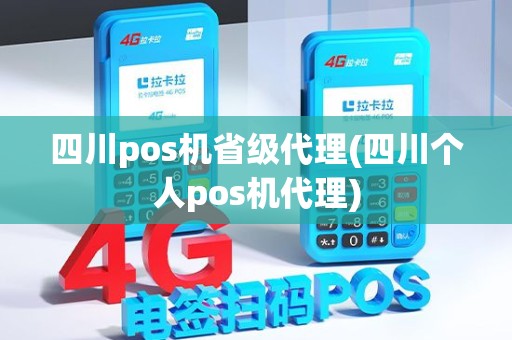 四川pos机省级代理(四川个人pos机代理)