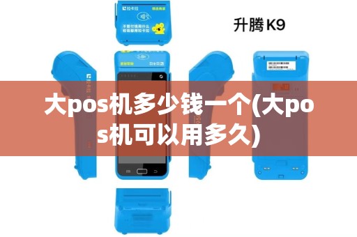 大pos机多少钱一个(大pos机可以用多久) 大pos机多少钱一个(大pos机可以用多久)