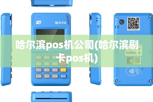 哈尔滨pos机公司(哈尔滨刷卡pos机)