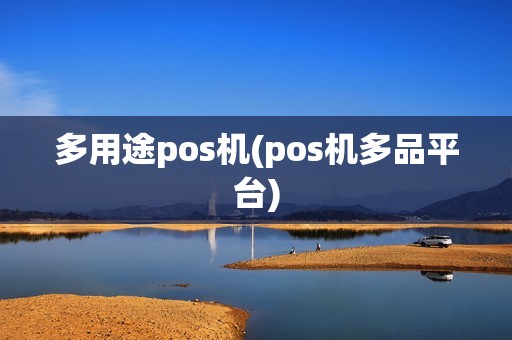 多用途pos机(pos机多品平台)