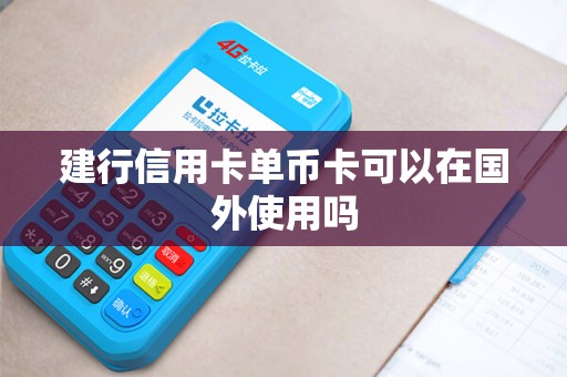 建行信用卡单币卡可以在国外使用吗