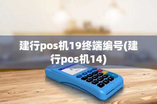 建行pos机19终端编号(建行pos机14)