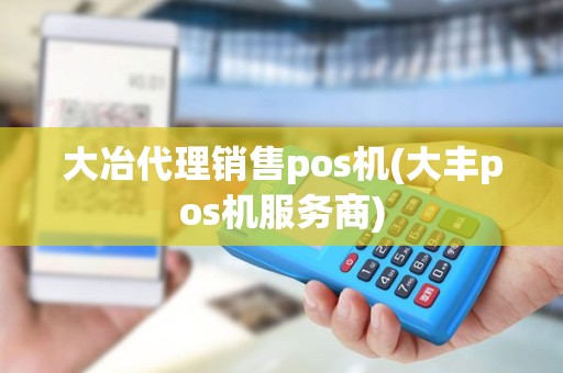 大冶代理销售pos机(大丰pos机服务商)