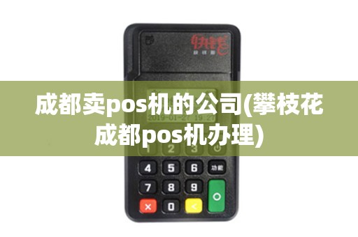 成都卖pos机的公司(攀枝花成都pos机办理)