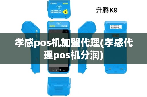 孝感pos机加盟代理(孝感代理pos机分润)