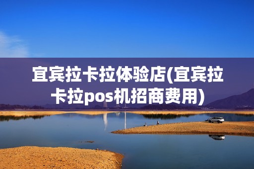 宜宾拉卡拉体验店(宜宾拉卡拉pos机招商费用)