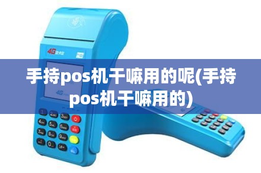 手持pos机干嘛用的呢(手持pos机干嘛用的)