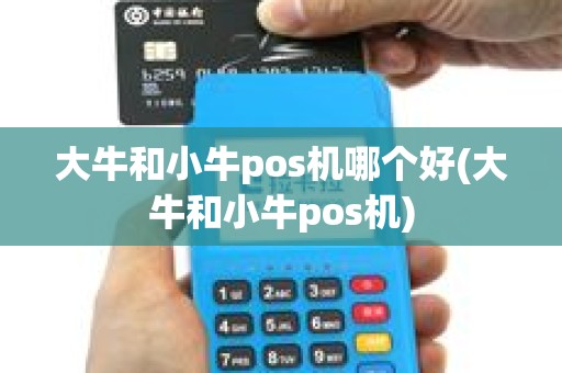 大牛和小牛pos机哪个好(大牛和小牛pos机)