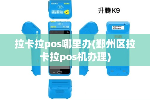 拉卡拉pos哪里办(鄞州区拉卡拉pos机办理)