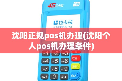 沈阳正规pos机办理(沈阳个人pos机办理条件)