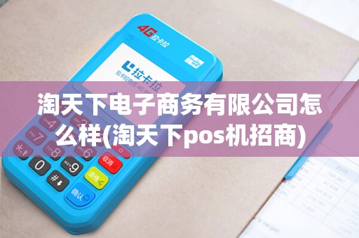 淘天下电子商务有限公司怎么样(淘天下pos机招商)