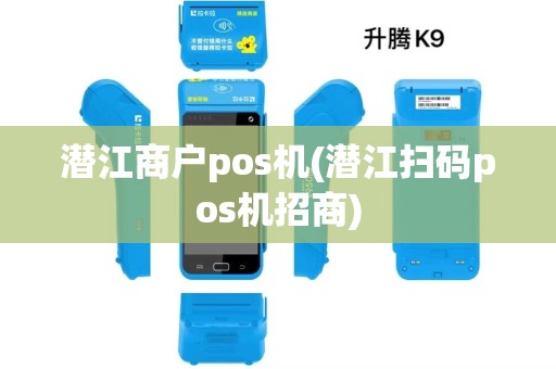 潜江商户pos机(潜江扫码pos机招商)