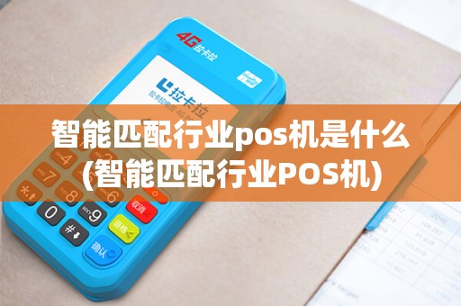 智能匹配行业pos机是什么(智能匹配行业POS机)