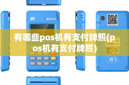 有哪些pos机有支付牌照(pos机有支付牌照)