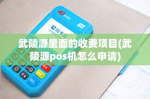 武陵源里面的收费项目(武陵源pos机怎么申请)