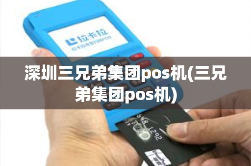 深圳三兄弟集团pos机(三兄弟集团pos机)