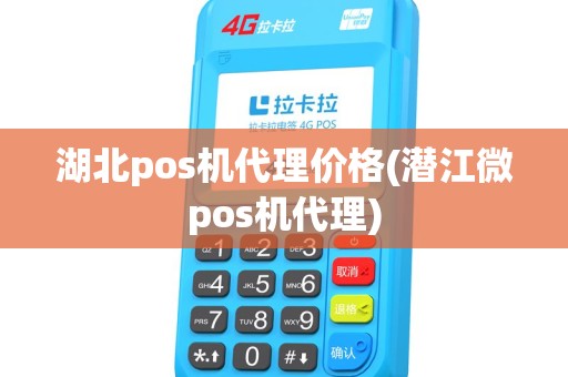 湖北pos机代理价格(潜江微pos机代理)
