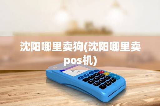 沈阳哪里卖狗(沈阳哪里卖pos机)