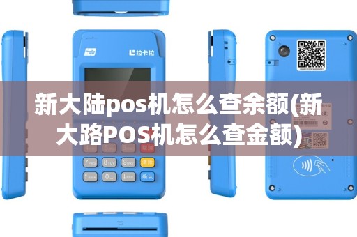 新大陆pos机怎么查余额(新大路POS机怎么查金额)