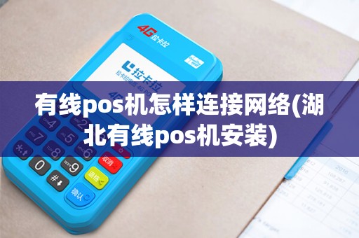 有线pos机怎样连接网络(湖北有线pos机安装)