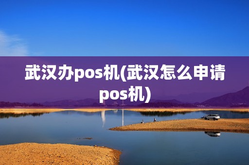 武汉办pos机(武汉怎么申请pos机)