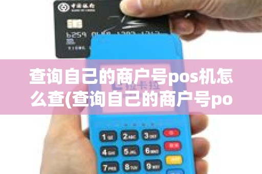 查询自己的商户号pos机怎么查(查询自己的商户号pos机)