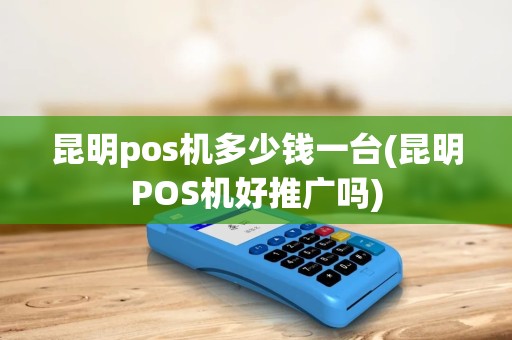 昆明pos机多少钱一台(昆明POS机好推广吗)