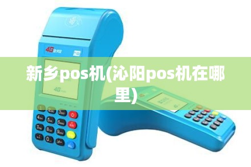 新乡pos机(沁阳pos机在哪里)