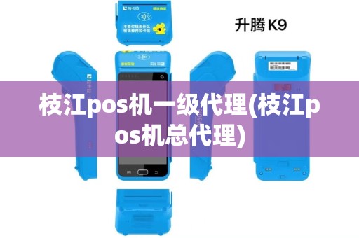 枝江pos机一级代理(枝江pos机总代理)