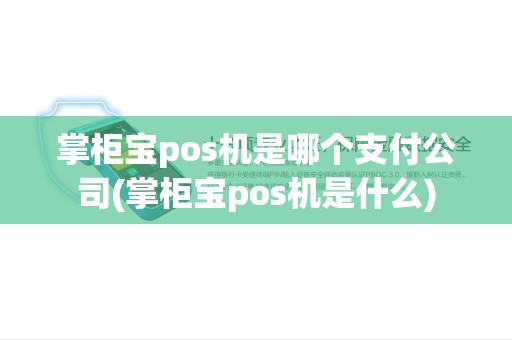 掌柜宝pos机是哪个支付公司(掌柜宝pos机是什么)