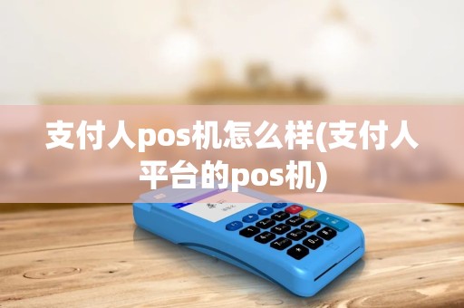 支付人pos机怎么样(支付人平台的pos机)