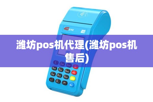 潍坊pos机代理(潍坊pos机售后)