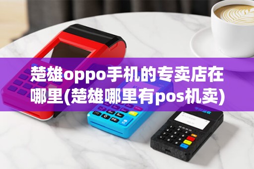 楚雄oppo手机的专卖店在哪里(楚雄哪里有pos机卖)