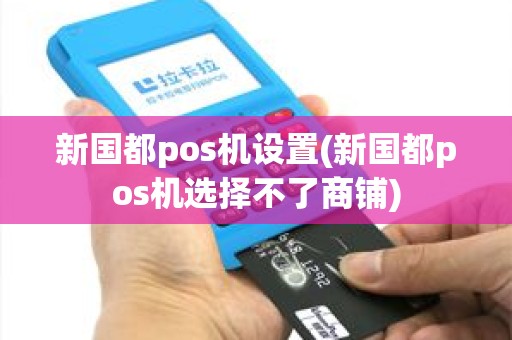 新国都pos机设置(新国都pos机选择不了商铺)
