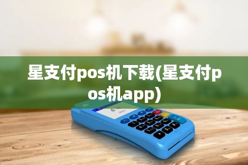 星支付pos机下载(星支付pos机app)