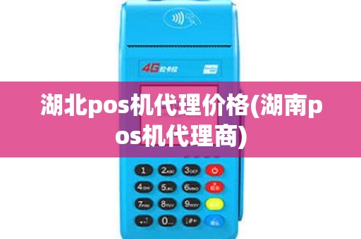 湖北pos机代理价格(湖南pos机代理商)