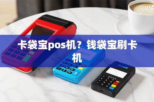 卡袋宝pos机？钱袋宝刷卡机
