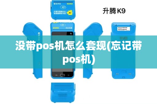 没带pos机怎么套现(忘记带pos机) 没带pos机怎么套现(忘记带pos机)