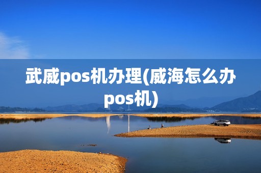 武威pos机办理(威海怎么办pos机)