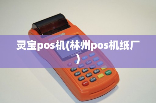 灵宝pos机(林州pos机纸厂)