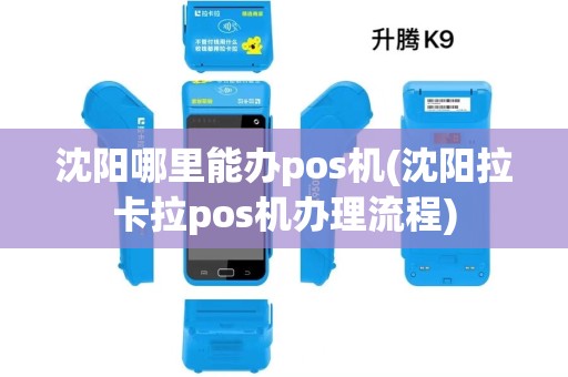 沈阳哪里能办pos机(沈阳拉卡拉pos机办理流程) 沈阳哪里能办pos机(沈阳拉卡拉pos机办理流程)