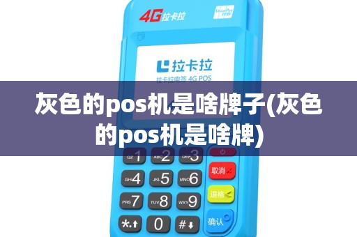 灰色的pos机是啥牌子(灰色的pos机是啥牌)