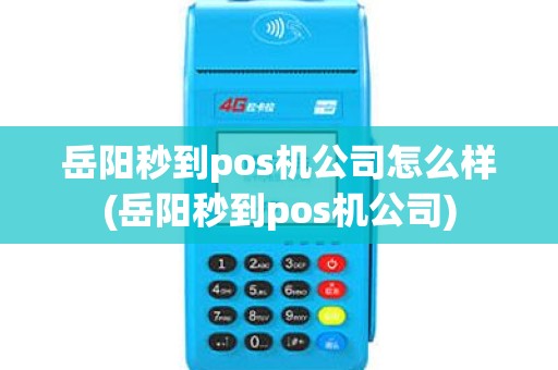岳阳秒到pos机公司怎么样(岳阳秒到pos机公司)